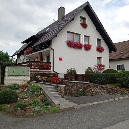 Pension Kristyna Kasperske Hory Exterior photo